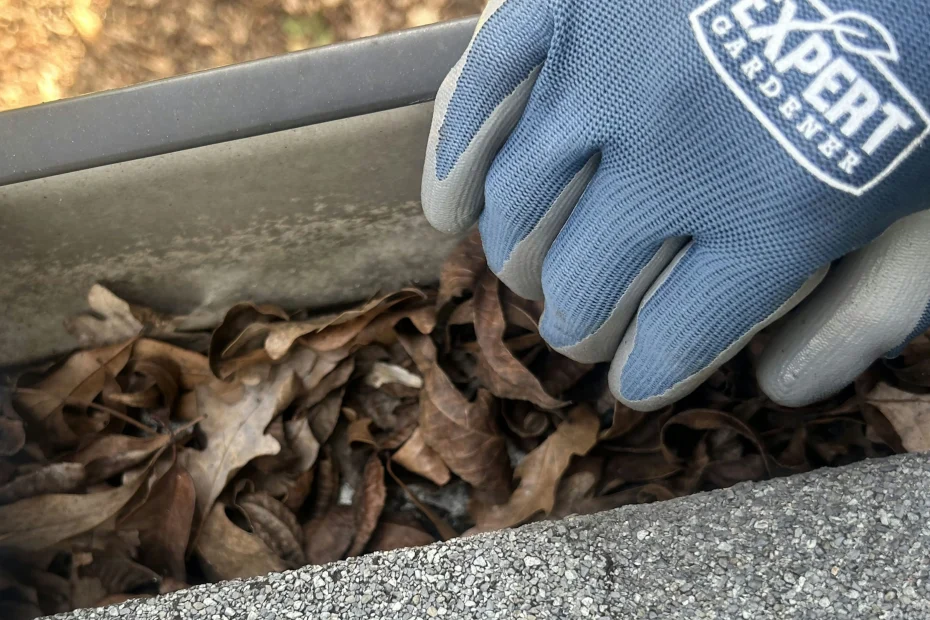 Gutter Cleaning Vinton