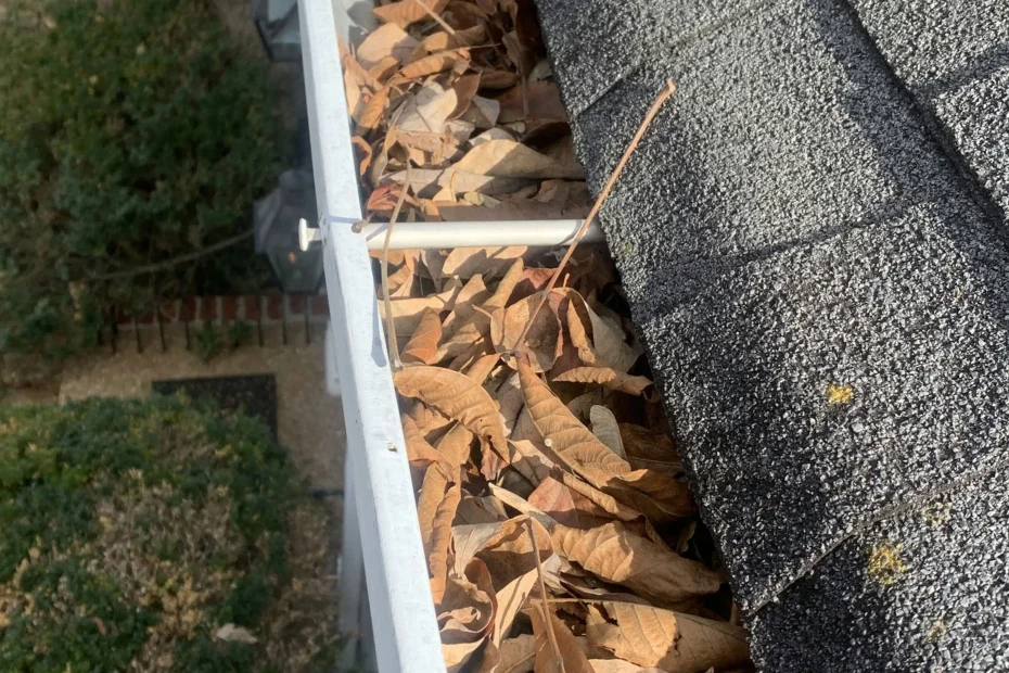 Gutter Cleaning Vinton